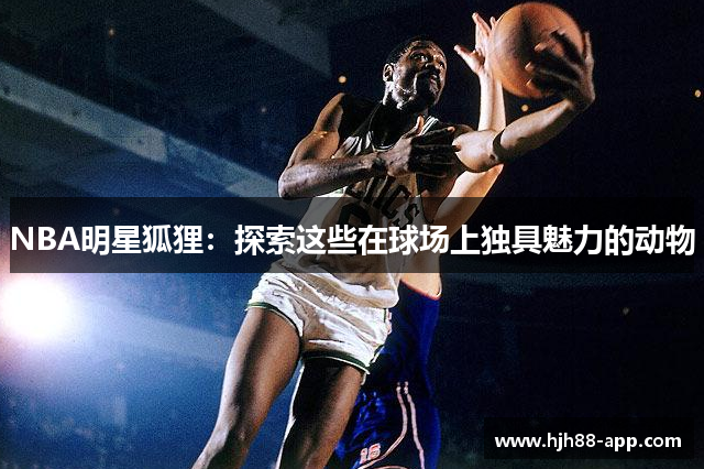 NBA明星狐狸：探索这些在球场上独具魅力的动物